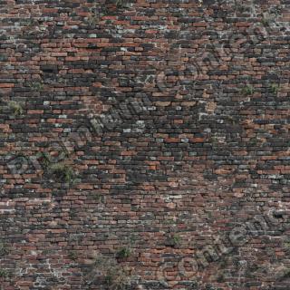 photo texture of wall bricks seamless 0001